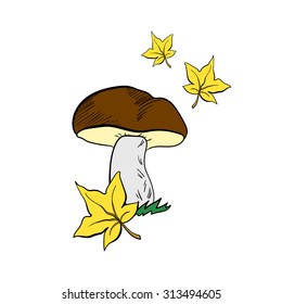 Hand drawn mushroom and leaves on the white background. Vector illustration