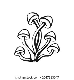 Hand drawn mushroom outline. Line art style isolated on white background.