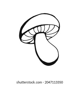 Hand drawn mushroom outline. Line art style isolated on white background.