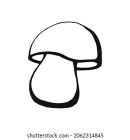 Hand drawn mushroom outline. Line art style isolated on white background.