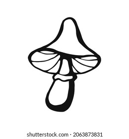 Hand drawn mushroom outline. Line art style isolated on white background.