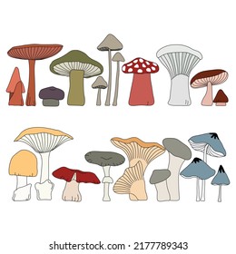 Hand drawn mushroom plant collection in doodle art style on white background