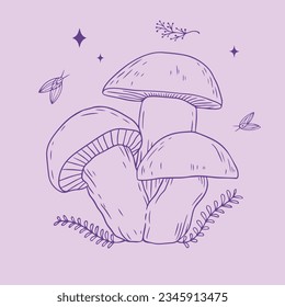 hand drawn mushroom sketch illustration. mushroom Outline. vector illustration. mushroom line art. mushrooms isolated on a white background.