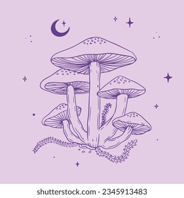 hand drawn mushroom sketch illustration. mushroom Outline. vector illustration. mushroom line art. mushrooms isolated on a white background.