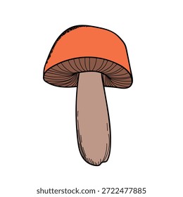 cogumelo desenhado à mão, ilustração vetorial. Cardápio de comida vegana. Cogumelos venenosos e comestíveis Colheita de cogumelos de outono, esboços de plantas florestais.