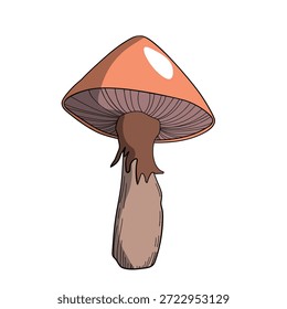 cogumelo desenhado à mão, ilustração vetorial. Cardápio de comida vegana. Cogumelos venenosos e comestíveis Colheita de cogumelos de outono, esboços de plantas florestais.