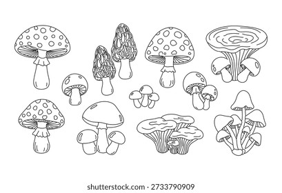 Handgezeichneter Pilz-Vektorsatz. Kollektion von Illustrationen von Schwarz-Weiß-Fungus-Linien, einschließlich Amanita, Morel und anderen Wildpilzen. Isolierte Umrisse zum Färben von Büchern oder Designelementen.