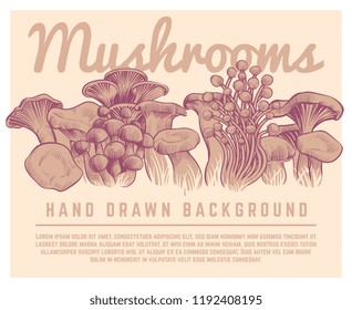 Hand drawn mushrooms background. Autumn gourmet truffles champignon oyster mushroom sketch vector illustration. Mushroom sketch organic, forest champignon autumn