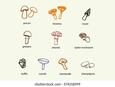 Hand drawn mushrooms clip art set. Mushrooms vector illustration. Truffle, Russula, Champingnon, Morel, Lactarius, Amarita, Chanterelle, Greasers. Mushrooms icons set. Doodle mushrooms.