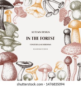 Hand drawn mushrooms frame design. Healthy food vector template. Forest plants sketches. Perfect for recipe, menu, label, icon, packaging. Edible mushrooms background. Botanical illustration.