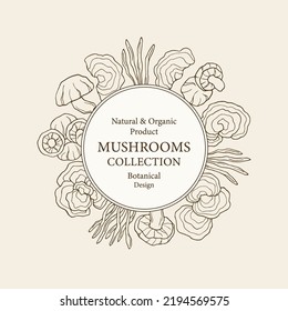 Hand drawn mushrooms frame  Shiitake  turkey tail  cordyceps  reishi