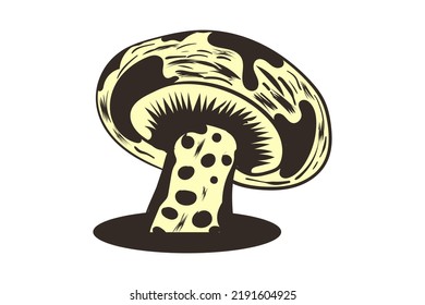 hand drawn mushrooms illustrations Vector