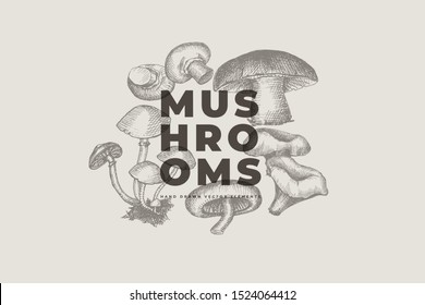 Hand drawn mushrooms on light isolated background. Forest mushrooms of different species. It can be used to design menu of restaurant, shop and farmers market. Vector vintage illustration.