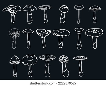 hand drawn mushrooms outline related icons thin vector icon set, black and white kit