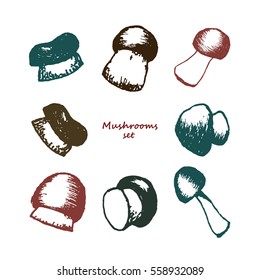 hand drawn mushrooms set