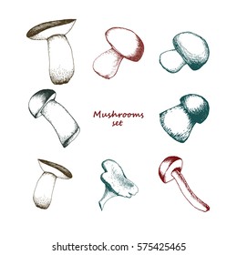 hand drawn mushrooms set