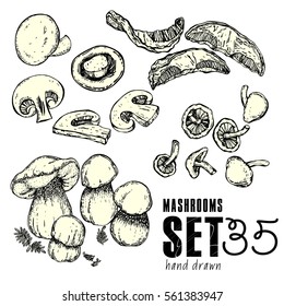 Hand Drawn mushrooms Set. Collection of food sketch black outline. Vector illustration design elements isolated stock vector.