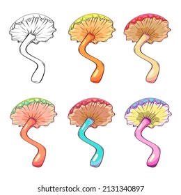 Hand drawn mushrooms. Vector illustration collection of colorful raw fungus isolated on white background. Fantasy, toxic mushrooms 