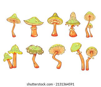 Hand drawn mushrooms. Vector illustration collection of colorful raw fungus isolated on white background. Fantasy, toxic mushrooms 