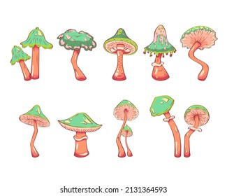 Hand drawn mushrooms. Vector illustration collection of colorful raw fungus isolated on white background. Fantasy, toxic mushrooms 