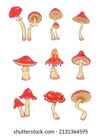 Hand drawn mushrooms. Vector illustration collection of colorful raw fungus isolated on white background. Fantasy, toxic mushrooms 