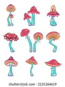 Hand drawn mushrooms. Vector illustration collection of colorful raw fungus isolated on white background. Fantasy, toxic mushrooms 