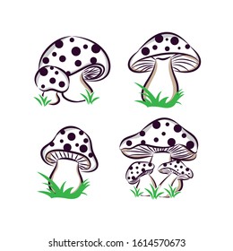 Hand drawn mushrooms. Vintage sketch of porcini portobello fungus morel truffle and oyster mushrooms.