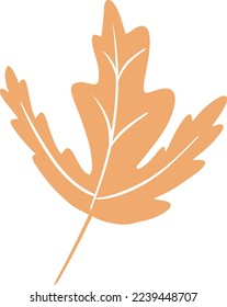Hand drawn mustard maple leaf illustration