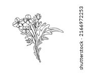 Hand drawn mustard plant sketch style, vector illustration isolated on white background. Black outline flowers on stem with leaves, edible herb, organic