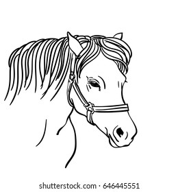 Rompecabezas dibujadas a mano de caballo en brida, boceto de estilo de arte de línea vectorial
