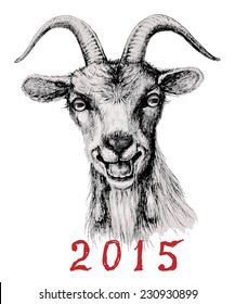 Hand drawn muzzle smiling goat.