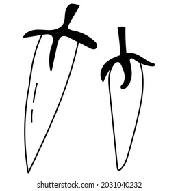 hand drawn mystic boho design element for halloween illustration vector EPS10