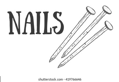 Hand Drawn Nail Heads Vector Sketch. Doodle Drawing. Vector Sketch House Remodel Tool. Home Repair Service. Flat Style Toola For Building