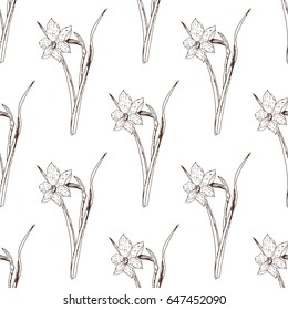 Hand drawn narcissus seamless pattern background. Ink pen sketch style vector illustration. Spring flower.