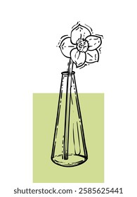 Hand drawn narcissus in a vase. Line art spring flower illustration. Doodle of a flower in a green poster design. Ready to be used in print and online projects. 