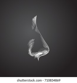 Hand Drawn Nasal Sketch Symbol. Vector Sniff Element In Trendy Style.