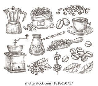 Hand drawn natural coffee. Graphics beans, sketch gourmet morning drink. Espresso making machine, isolated vintage roast seed bag vector set