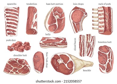 Handgezeichnete Fleischelemente aus natürlichem Schweinefleisch