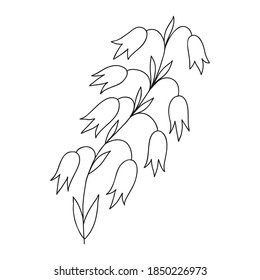 hand drawn natural element bell flower. floral flower hand drawn doodle icon for social media story