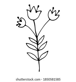 hand drawn natural element bell flower. floral flower hand drawn doodle icon for social media story