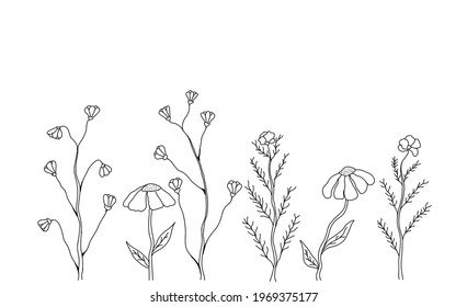 Hand Drawn Natural Floral Background Isolated on White