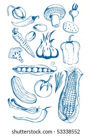 Hand Drawn natural food