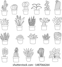 Hand drawn natural plant and cactus set in doodle style on white background, for garden dedoration, vector illustration