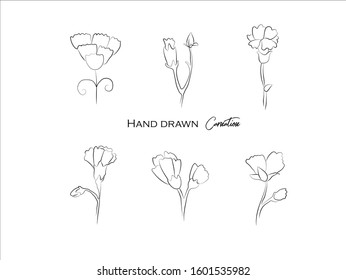 Hand drawn natural plant,herbs, leaves,Carnation,illustration of black and white pattern nature plants flowers elements,Perfect for invitations, greeting cards, prints, posters