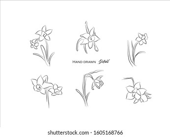 Hand drawn natural plant,herbs, leaves,daffodil,illustration of black and white pattern nature plants flowers elements,Perfect for invitations, greeting cards, prints, posters