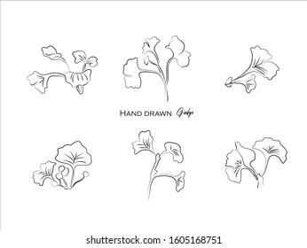 Hand drawn natural plant,herbs, leaves,ginkgo,illustration of black and white pattern nature plants flowers elements,Perfect for invitations, greeting cards, prints, posters