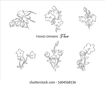 Hand drawn natural plant,herbs, leaves,illustration of black and white pattern nature plants flowers elements,Perfect for invitations, greeting cards, prints, posters