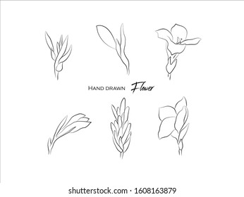 Hand drawn natural plant,herbs, leaves,illustration of black and white pattern nature plants flowers elements,Perfect for invitations, greeting cards, prints, posters