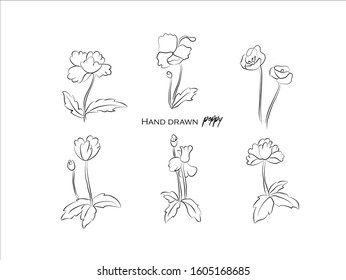 Hand drawn natural plant,herbs, leaves,poppy,illustration of black and white pattern nature plants flowers elements,Perfect for invitations, greeting cards, prints, posters