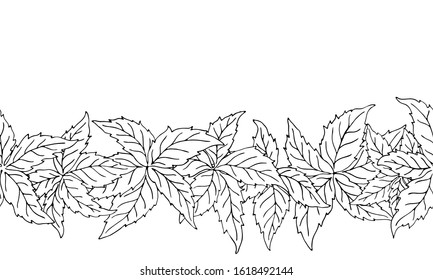 Hand drawn nature seamless pattern with virginia creeper leaves. Colorless endless vector background tracery